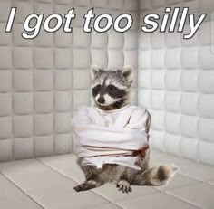 a raccoon wrapped in bandages sitting on top of a white tile floor with the words, i got too silly