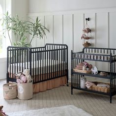 two baby cribs in a white room with a potted plant and stuffed animals