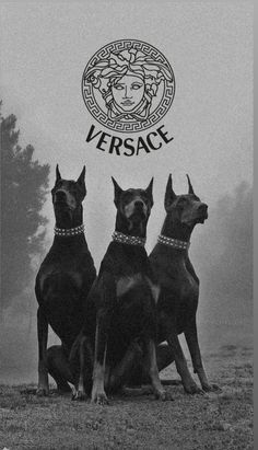 three dogs are sitting in front of the versa sign