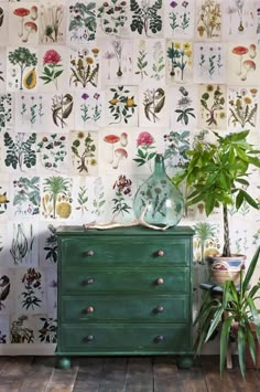 a green dresser sitting in front of a wall with plants on it