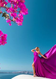 a woman in a purple dress is standing on the edge of a cliff