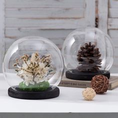 two snow globes sitting on top of a table with pine cones and flowers in them