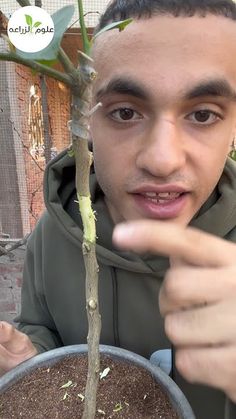 a man pointing at a plant in a pot