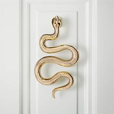 a door handle with a snake on it's side hanging from a white door