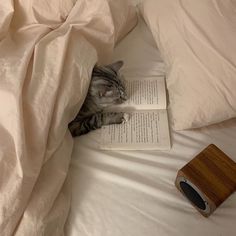 a cat laying on top of a bed next to an open book