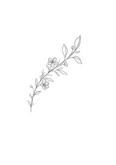 a line drawing of flowers on a white background