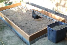 a chicken is standing in the dirt near two buckets and a wooden box on the ground