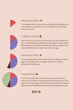 There are four phases of the menstrual cycle. Each phase has different processes and participating hormones for encouraging reproduction. Learn more about each phase and develop a greater understanding of your monthly cycle and hormonal health. Period Cycle Hormones, Four Stages Of Menstrual Cycle, Hormones Throughout Cycle, Cycle Syncing Hormone Chart, Female Monthly Cycle, Monthly Cycle Phases, Monthly Cycle Chart, Menstrual Cycle Phases Hormones, Period Cycle Phases Emotions