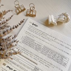 a close up of a piece of paper with writing on it next to some plants