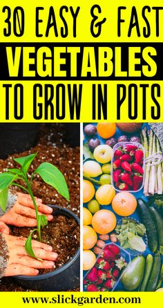 vegetables and fruits with text overlay that reads 30 easy & fast vegetables to grow in pots