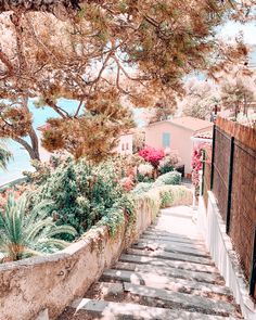 stairs leading up to the beach with trees on either side and houses in the background