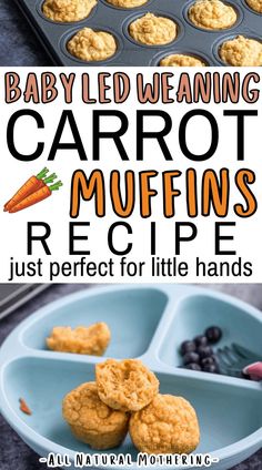 baby led weaning carrot muffins recipe with text overlay that reads, baby led weaning carrot muffins recipe just perfect for little hands