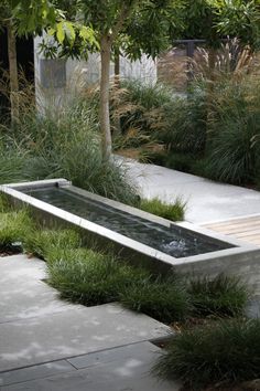 a water feature in the middle of a garden