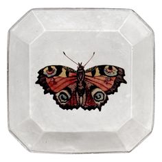 a plate with a butterfly painted on it's side and the bottom part of its wings