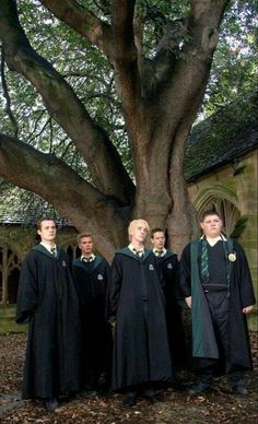 a group of people standing in front of a tree