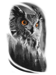 an owl with orange eyes is shown in this black and white photo, as well as trees