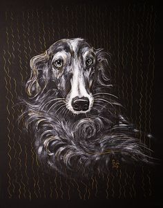 a painting of a black and white dog with wavy hair on it's face