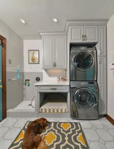 a dog is sitting in front of a washer and dryer