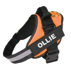 an orange and black dog harness with the name ollie on it's back strap