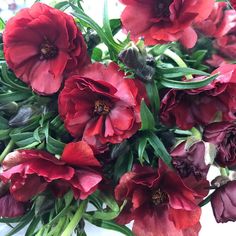 a bunch of red flowers are in a vase