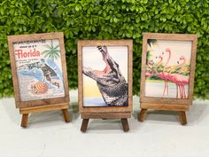 three small wooden frames with pictures of flamingos and alligators on them, sitting next to each other