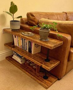 a living room with a couch, book shelf and potted plant on the table