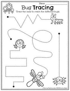 a bug tracer worksheet for children to practice their handwriting and writing skills