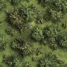 an aerial view of trees and grass