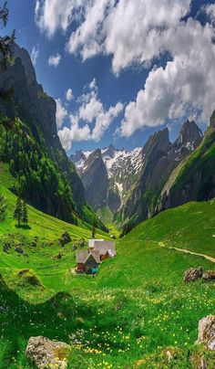 a green valley with mountains in the background and houses on the grass, surrounded by wildflowers