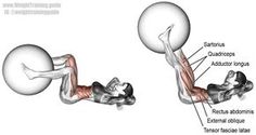 an image of a man doing exercises with a ball on his back and the muscles labeled