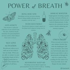 Breathwork Benefits, Deep Breathing, Parasympathetic Breathing, Breath Work Benefits, Breathwork Healing Techniques, Breathwork Healing, Breathwork Aesthetic, Calming Breathing Exercises