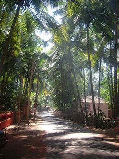 the sun shines through palm trees on a road