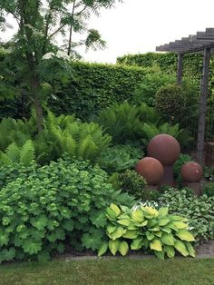 the garden is full of green plants and large round balls in it's center