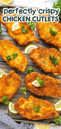 An overhead view of crispy chicken cutlets on a wire cooling rack. Chicken Cutlet Recipes Skillet, Crispy Chicken Fillet Recipes, Lemon Pepper Chicken Cutlets, Crispy Lemon Chicken Cutlets, Fried Chicken Cutlet Recipes Easy, Chicken Fillet Recipes Dinner Tonight, Chicken Cutlets Recipes, Chicken Breast Sandwich Recipes, Sliced Chicken Breast Recipes