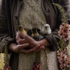 a woman holding three baby birds in her hands while standing next to some pink flowers