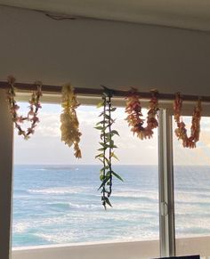 flowers are hanging from the window sill by the ocean