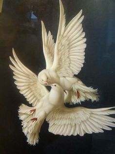 two white birds are flying in the air