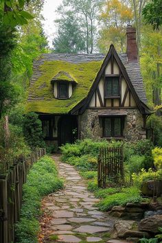 a house with a green roof covered in mossy grass and stone walkway leading to it