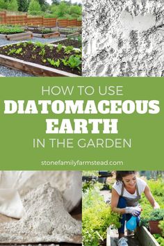 how to use diatomaeous earth in the garden