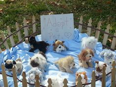 several stuffed dogs in a basket with a sign that says adopt a pet