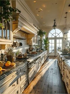 a large kitchen with lots of counter space and plants in the window sills