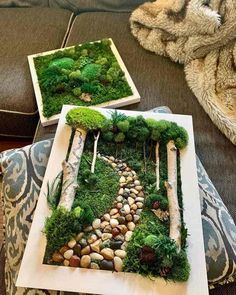 moss covered rocks and trees are displayed on a table in the shape of a house