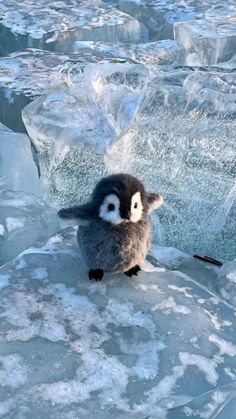 a small penguin sitting on top of an ice floet covered in snow and ice