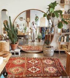 a living room filled with lots of furniture and plants on top of rugs in front of a mirror