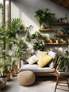 a living room filled with lots of potted plants