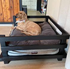 a dog laying on top of a bed in the middle of a room next to a mirror