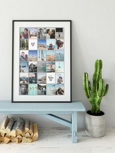 a blue bench sitting next to a potted cactus