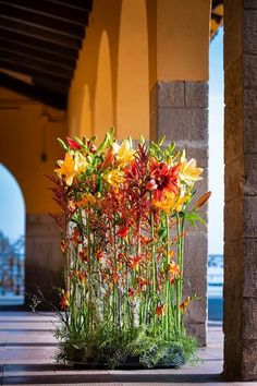 colorful flowers are growing out of the ground