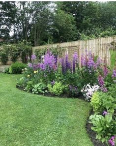 a garden with purple and white flowers in the grass next to a wooden fence that says garton desantum