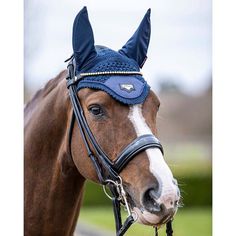 a brown horse wearing a blue bridle on top of it's head